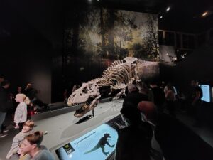 Dino Trix in Naturalis