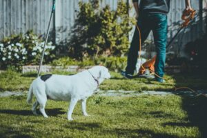 Tuin zomerklaar maken