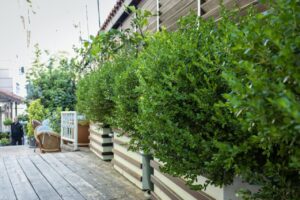 Straat vol plantenbakken 1