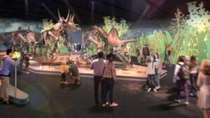 Tentoonstelling De kudde Triceratopsen van Naturalis