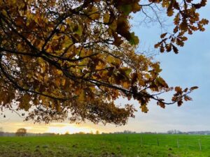 Herfst landschap