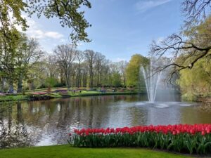 Het lentegevoel voor mij: bloeiende bloemen, bladeren aan de bomen en de eerste zonnestralen